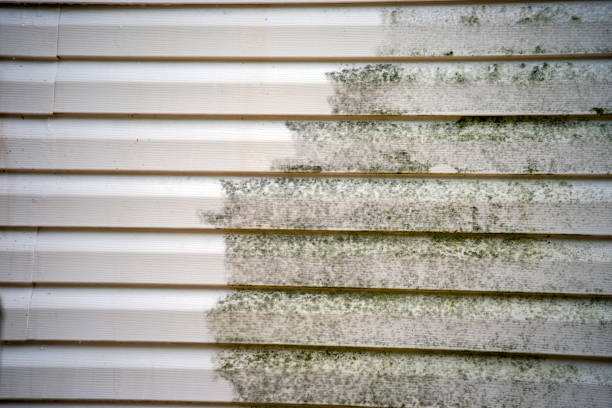 Best Custom Trim and Detailing for Siding  in Beachwood, NJ