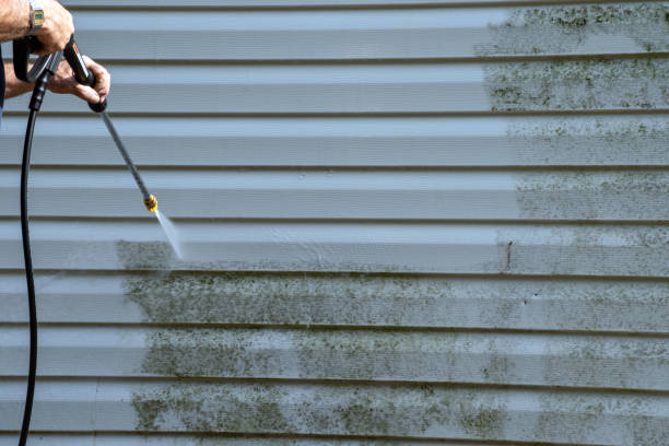 Affordable siding repair and maintenance services in Beachwood, NJ