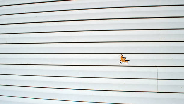Best Custom Siding Design  in Beachwood, NJ